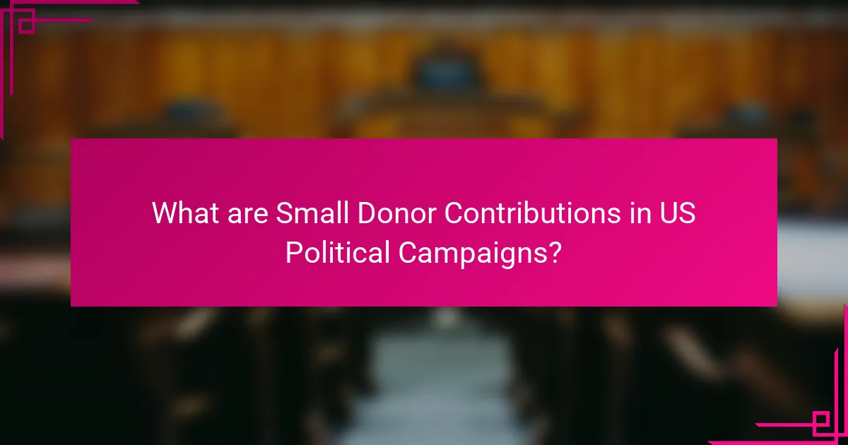 What are Small Donor Contributions in US Political Campaigns?