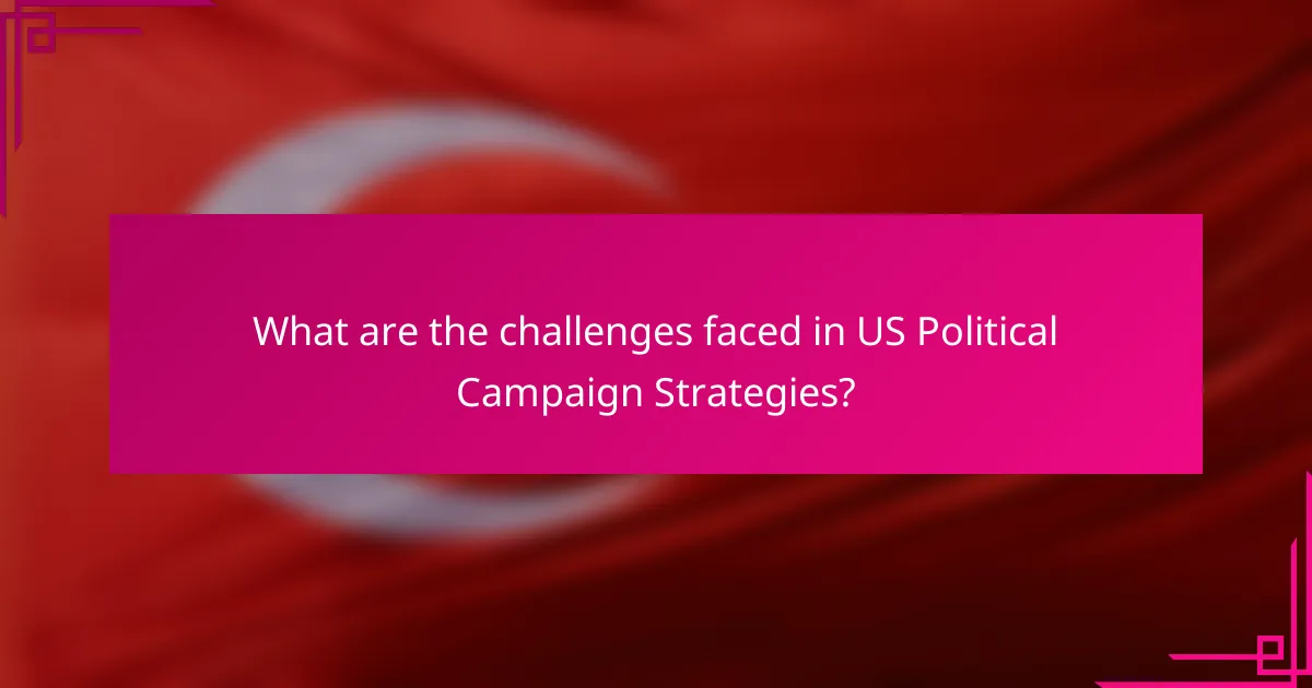 What are the challenges faced in US Political Campaign Strategies?