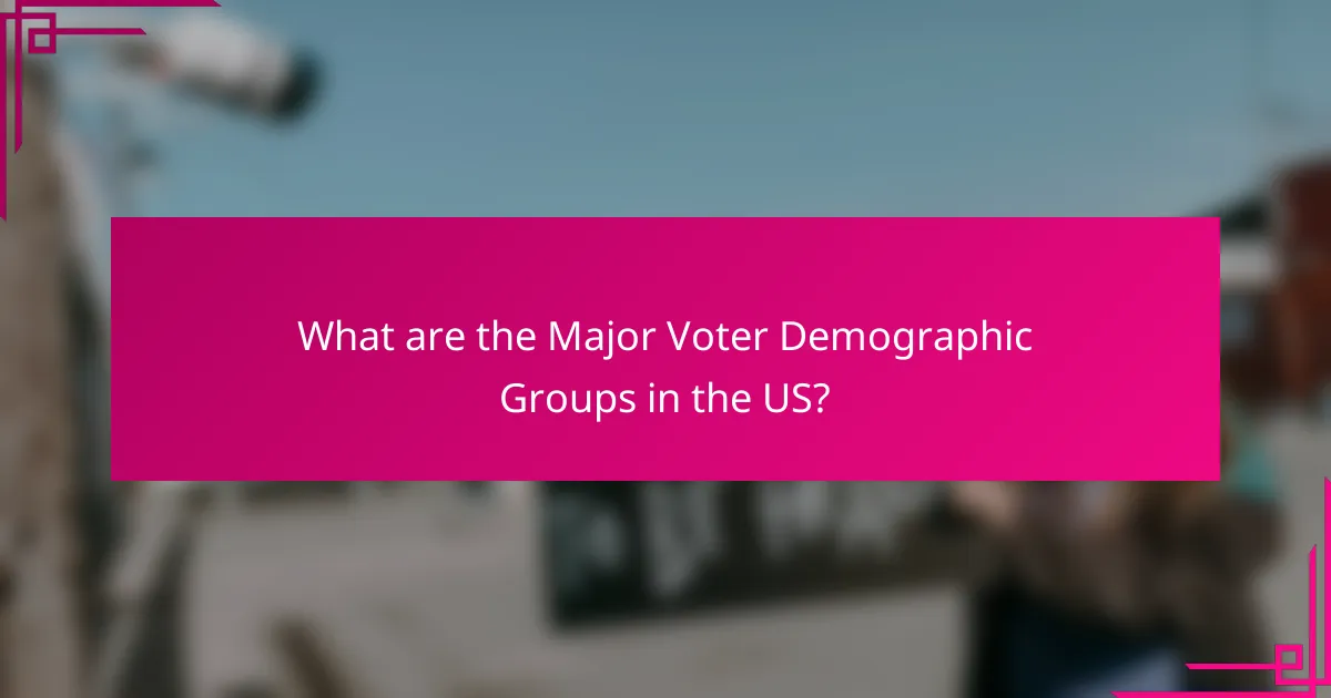 What are the Major Voter Demographic Groups in the US?