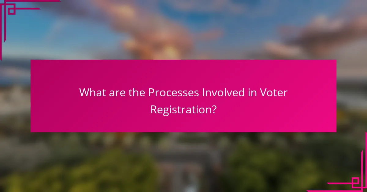 What are the Processes Involved in Voter Registration?