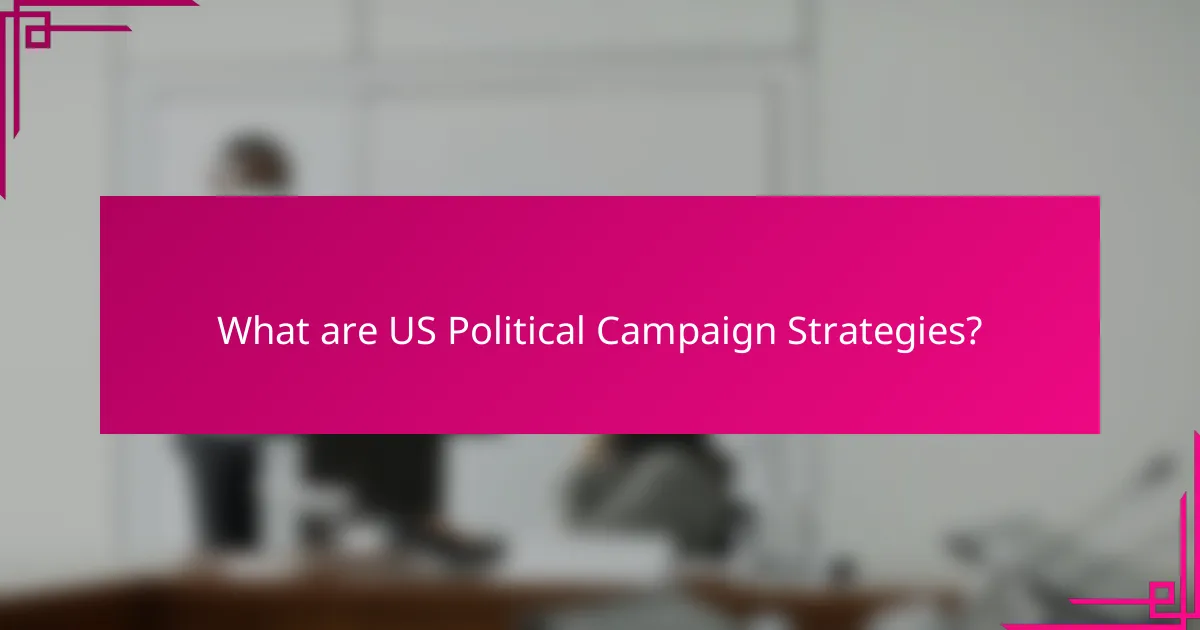 What are US Political Campaign Strategies?