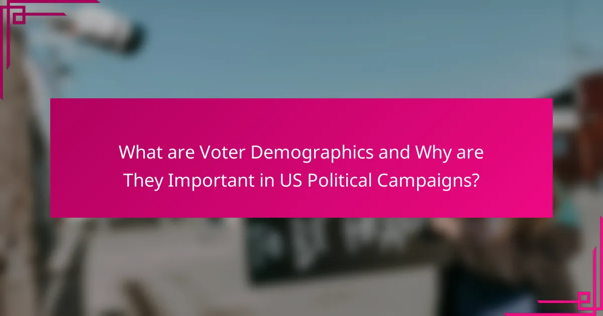 What are Voter Demographics and Why are They Important in US Political Campaigns?