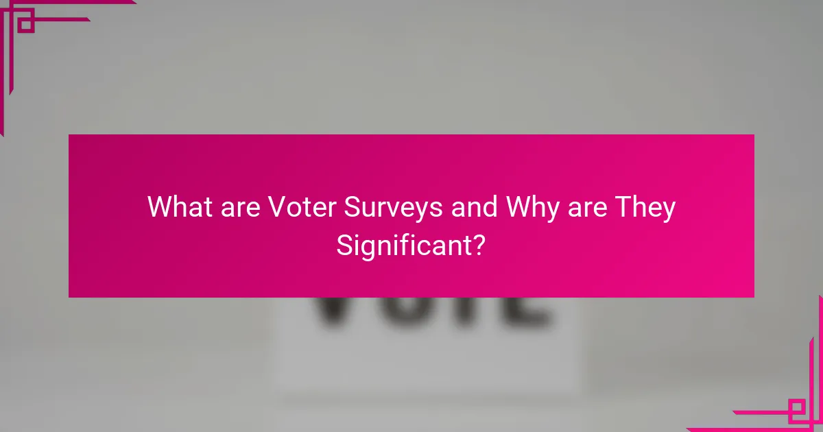 What are Voter Surveys and Why are They Significant?