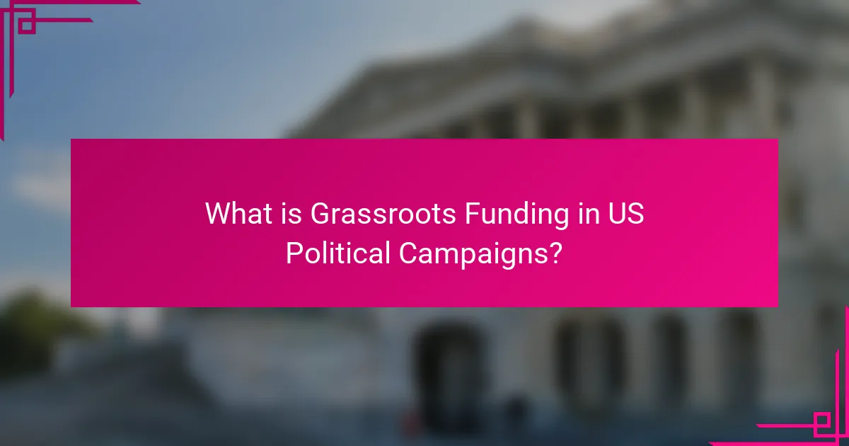 What is Grassroots Funding in US Political Campaigns?