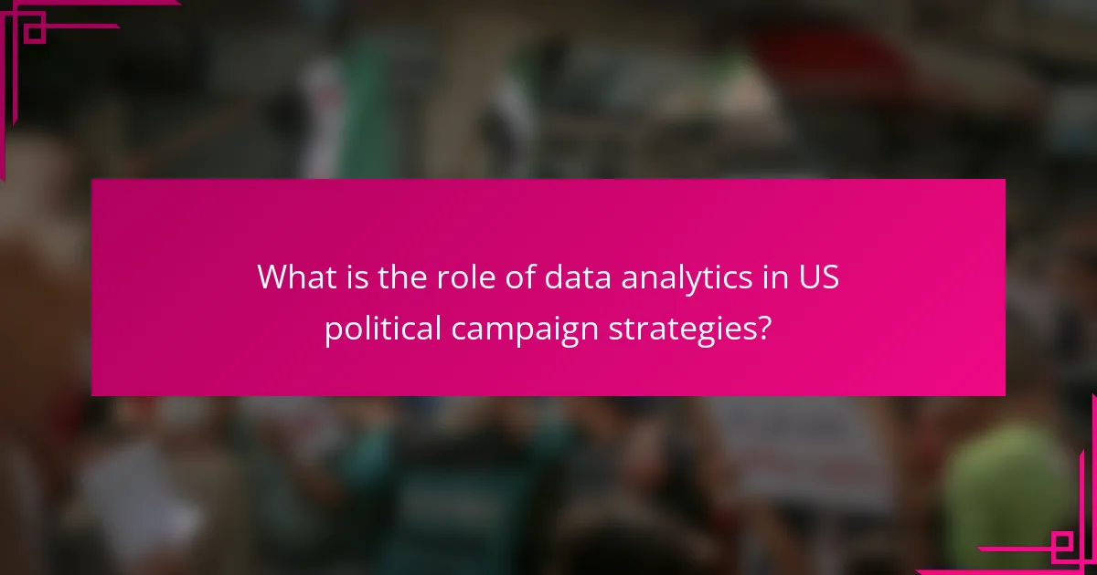 What is the role of data analytics in US political campaign strategies?