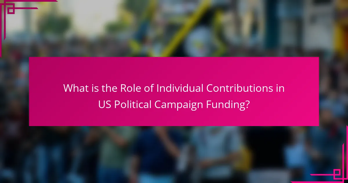 What is the Role of Individual Contributions in US Political Campaign Funding?